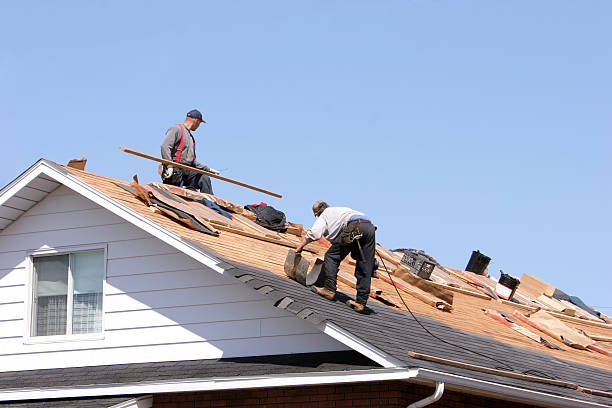 Best Roof Ventilation Installation  in Nixa, MO